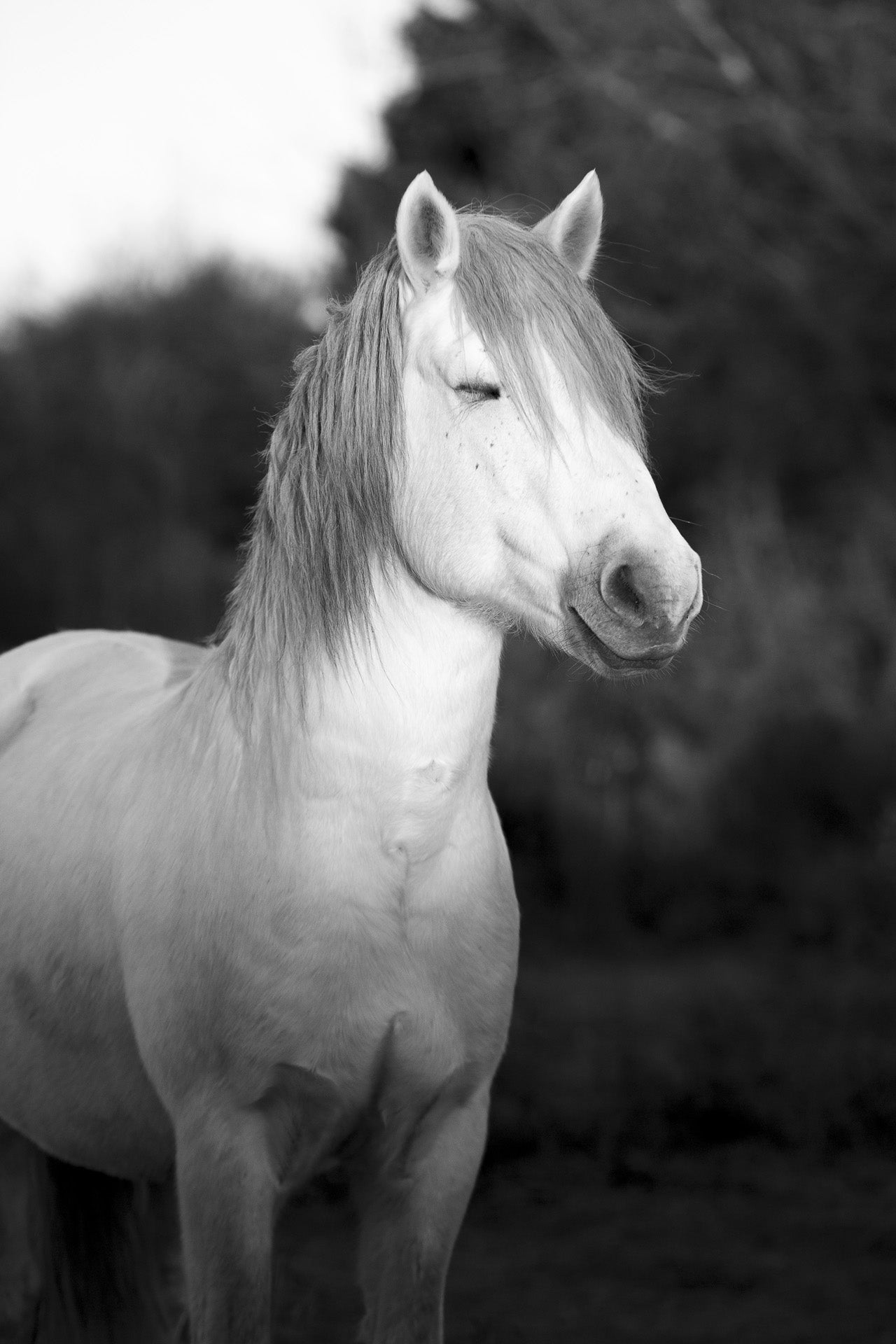 In the light of the rising sun