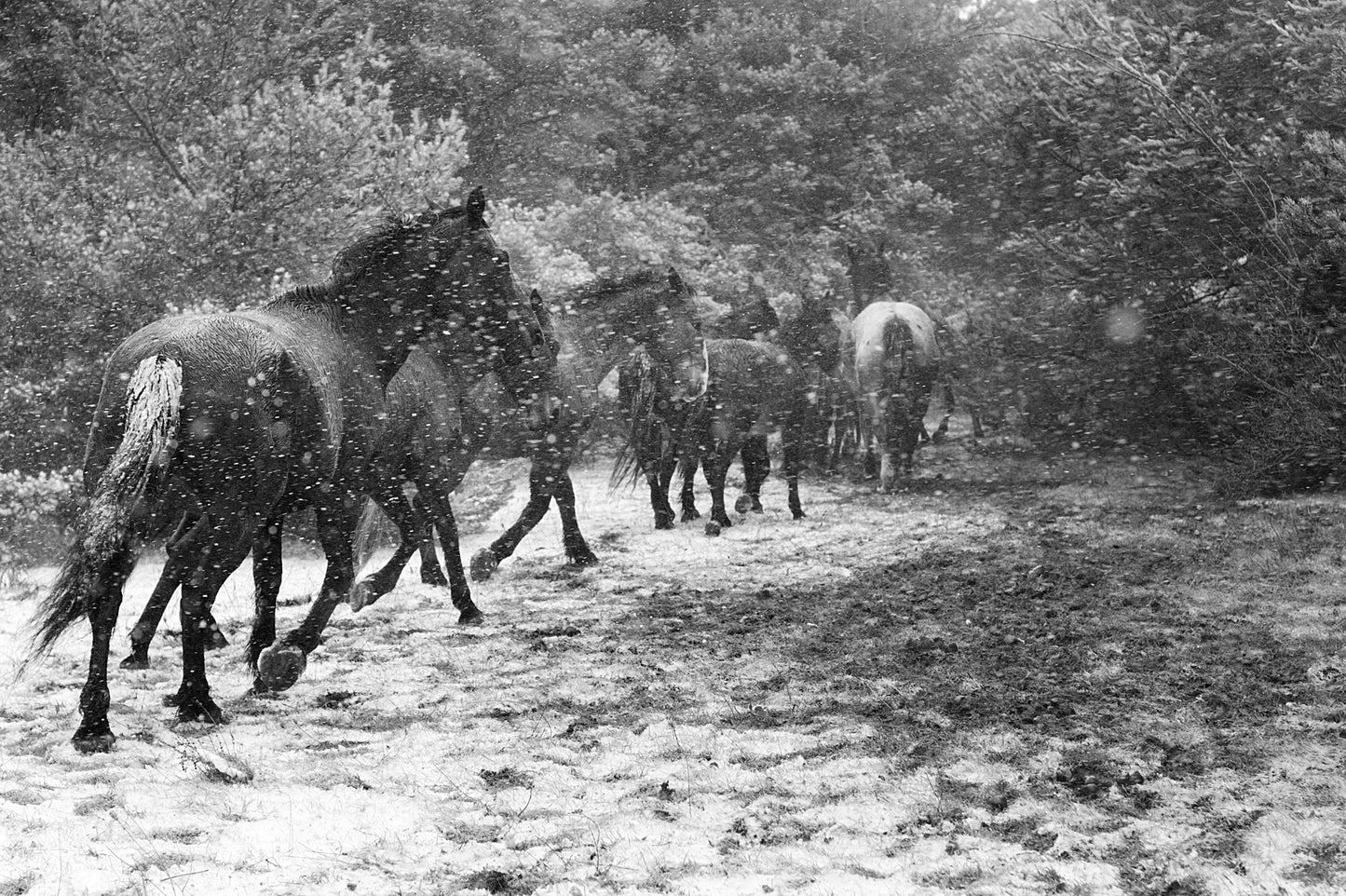 A flight through the storm