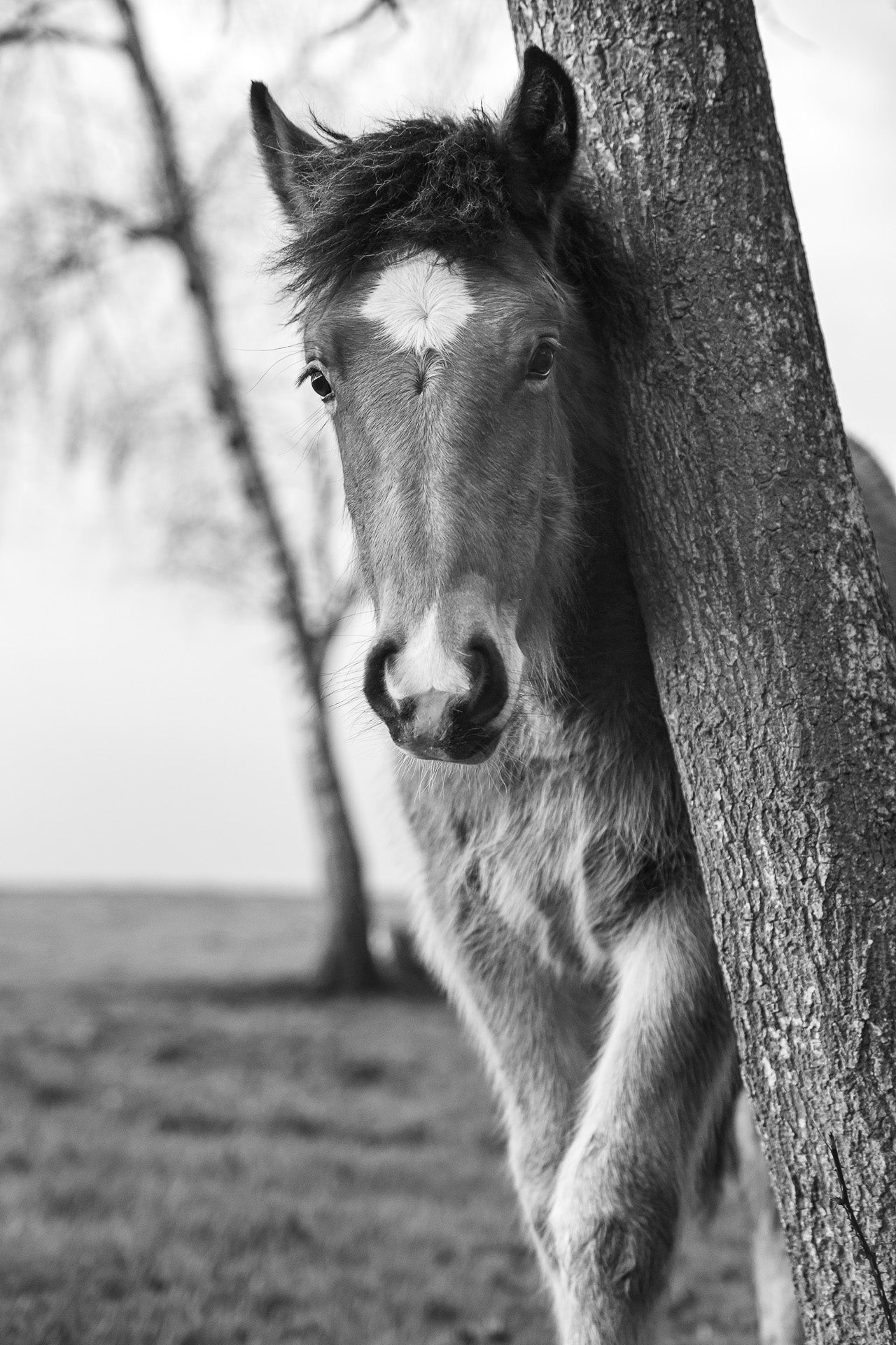 Leaning Against His Tree