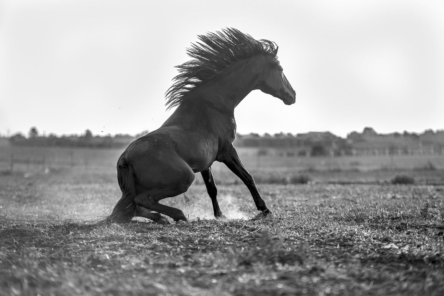 Strength and Determination